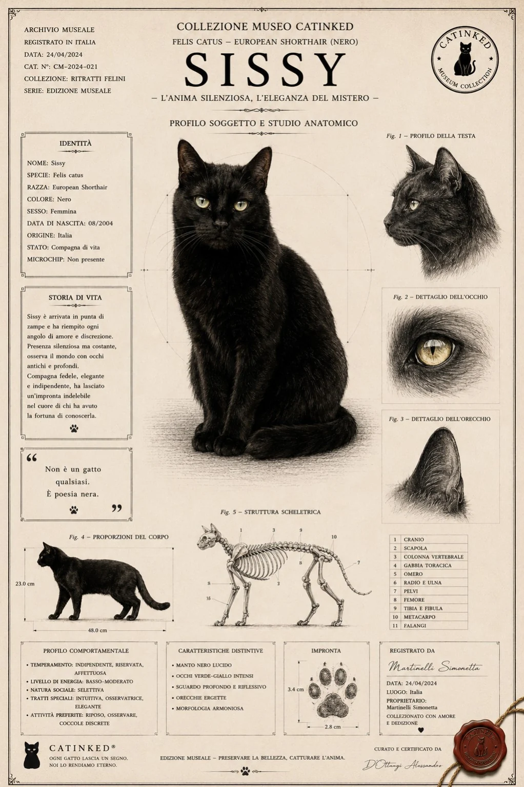 Poster Fine Art Catinked di Sissy